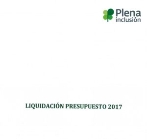 Ver Liquidación de Presupuesto de Plena inclusión España